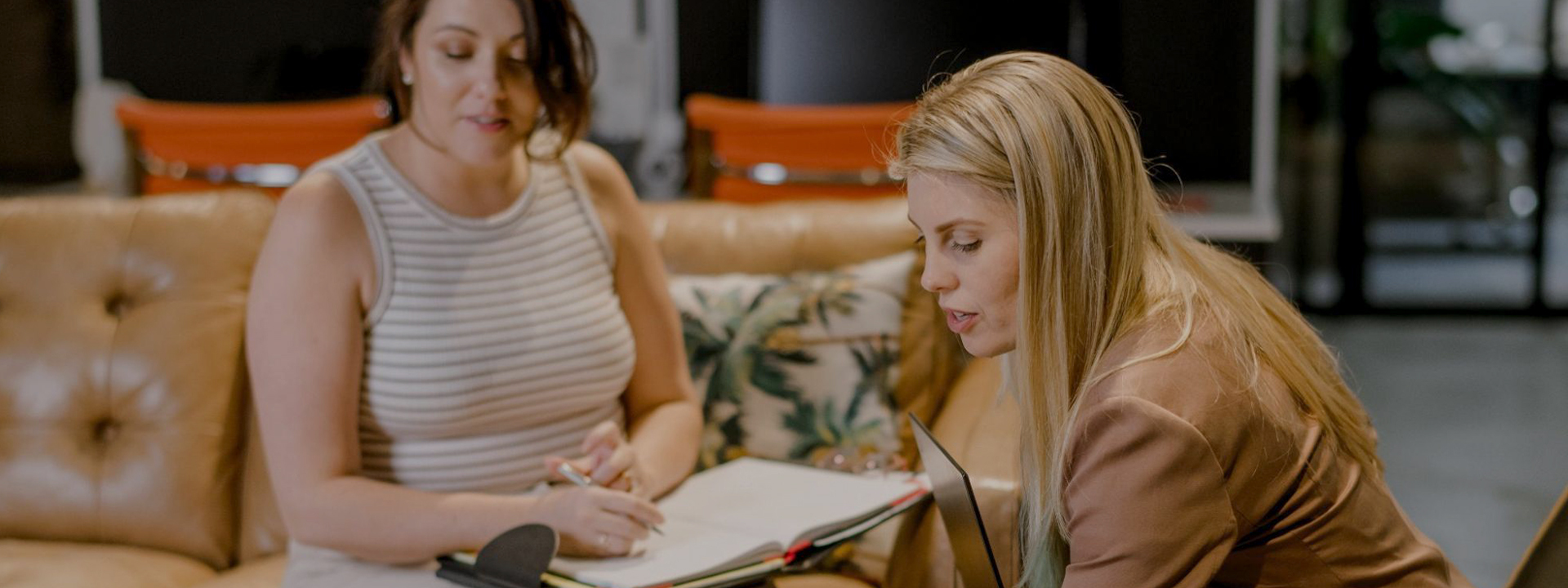 Lawyers From Elysian Law Explaining How To Get A Protective Order